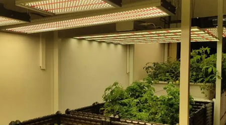 紅外線(xiàn)接收管内部結構和工(gōng)作(zuò)原理(lǐ)